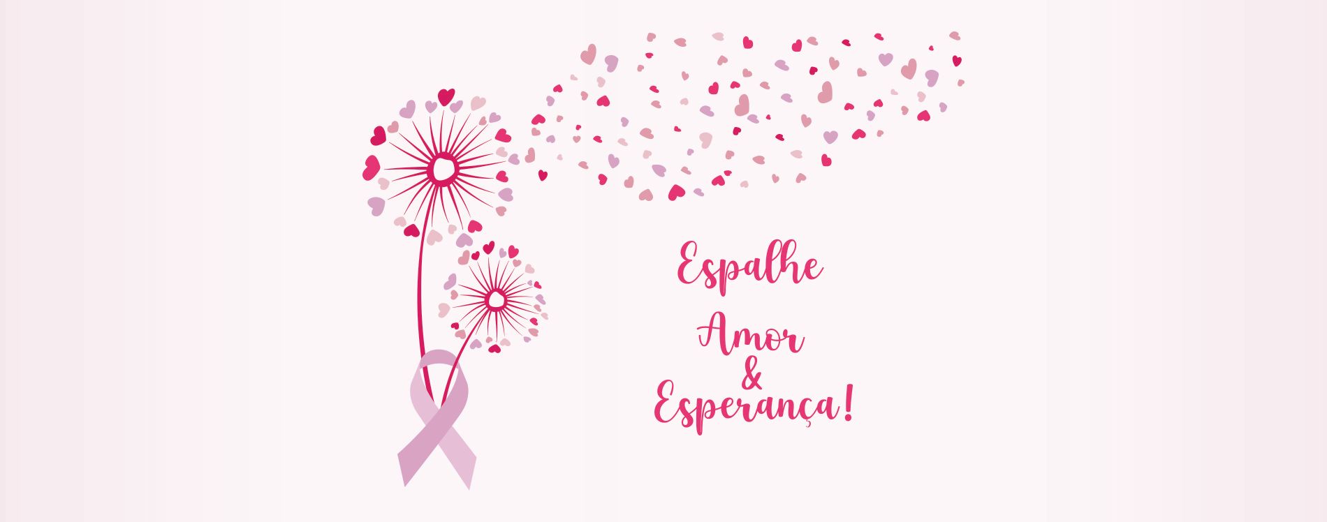 Campanha Outubro Rosa 2024 Rede Feminina Joinville